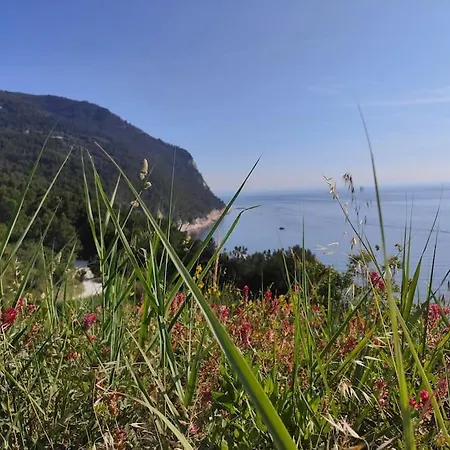 Host4all Appartement